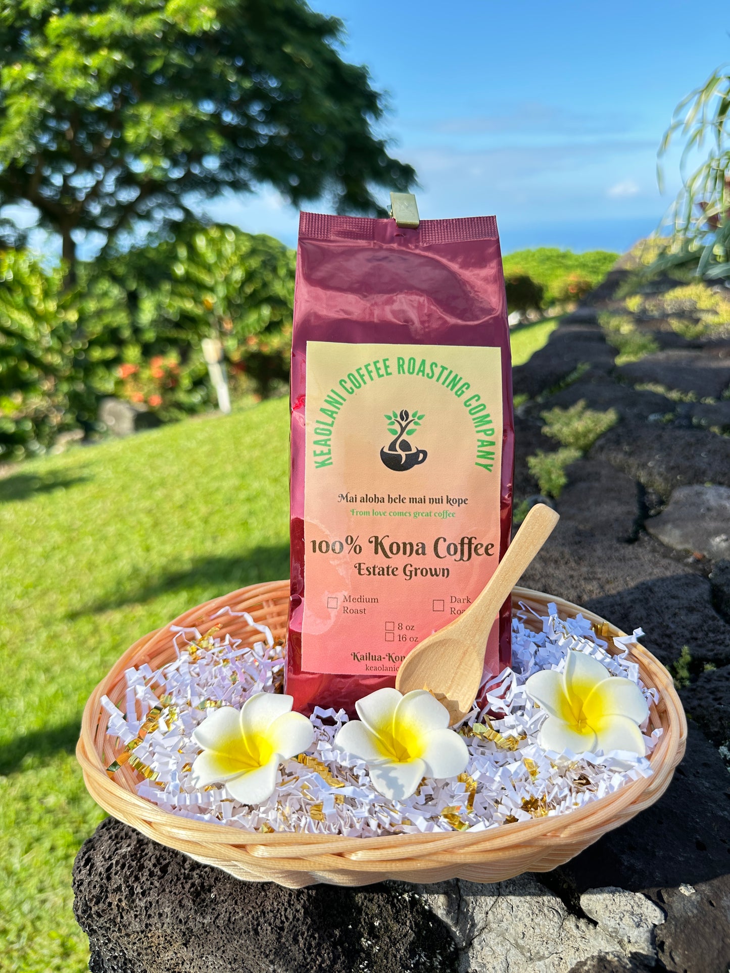 Aloha Mini for Christmas